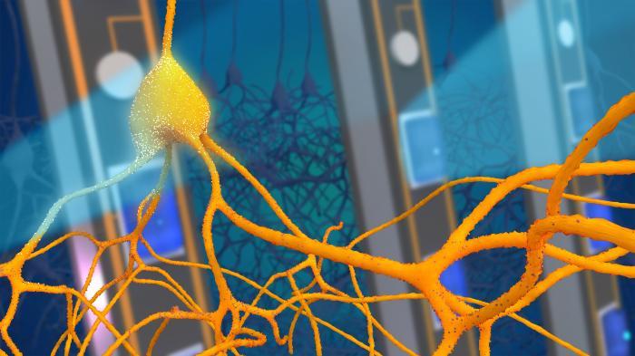 Illustration of opsin expressing neuron being lit by implantable optrode